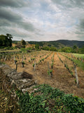 From the Loire to Alsace: East & West Wine Tasting