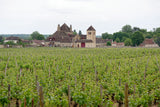 From the Loire to Alsace: East & West Wine Tasting