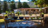 The Spirit of the Mediterranean — Exclusive Wine Tasting & Live Painting at Bleu Provence — August 19 - Bleu Provence Fine Wines