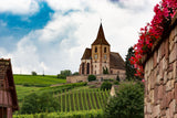 From the Loire to Alsace: East & West Wine Tasting