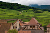 From the Loire to Alsace: East & West Wine Tasting
