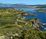The Spirit of the Mediterranean — Exclusive Wine Tasting & Live Painting at Bleu Provence — August 19