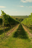 From the Loire to Alsace: East & West Wine Tasting