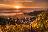 From the Loire to Alsace: East & West Wine Tasting